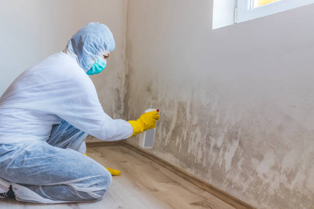 Licensed Commercial Mold Remediation service in Saluda, VA - WQB Mold Removal