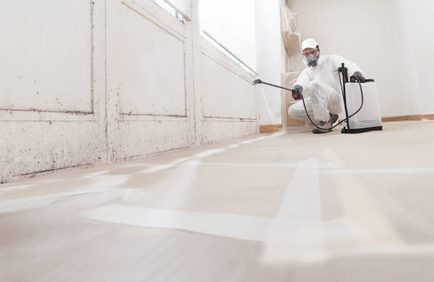 24/7 Emergency Commercial Mold Remediation experts in Saluda, VA