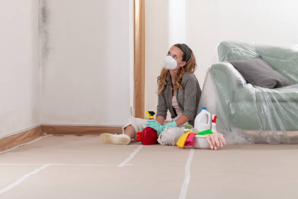 Reliable Commercial Mold Remediation contractor in Saluda, VA by WQB Mold Removal